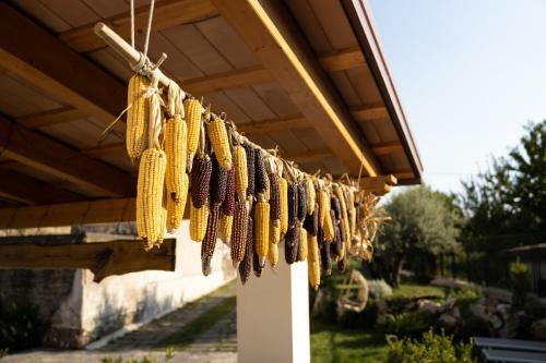 Bed & Breakfast Al Chiaro Di Luna