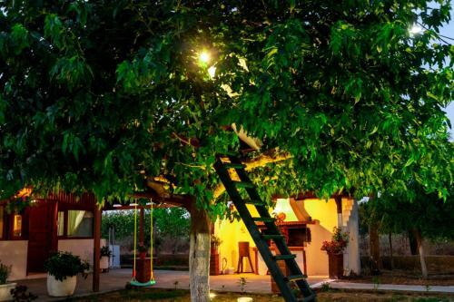 Agroturismo ????? ????????