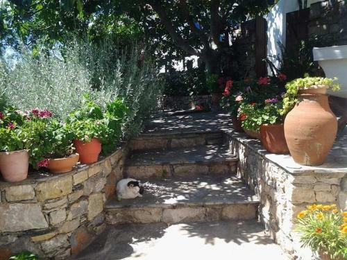 Apartamento Villa Panayiota