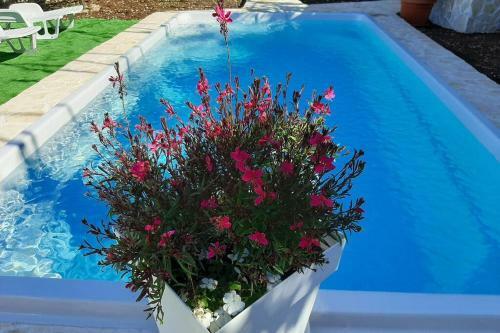 Villa Ku?a Za Odmor Mili