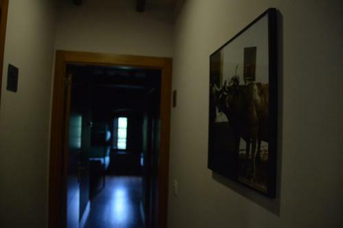Albergue De Arrojo