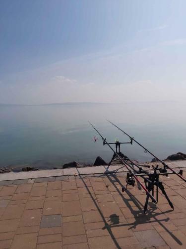 Holiday Home In Balatonakali 37240