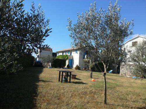 House Ivas With Garden