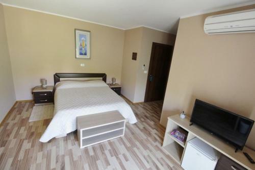 Hostal Villa Lion Zambratija