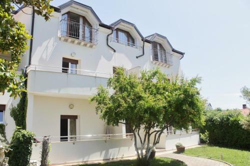 Hostal Villa Lion Zambratija