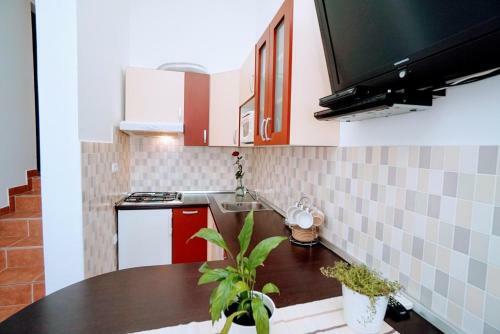 Apartment Mimy Zambratija