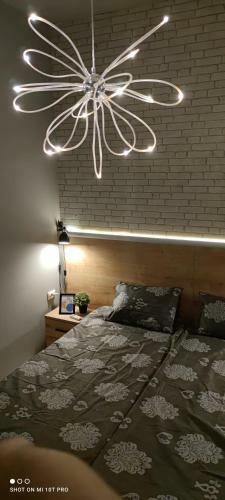 Inbox Apartments