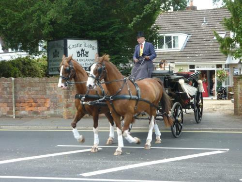 Bed & Breakfast Castle Lodge