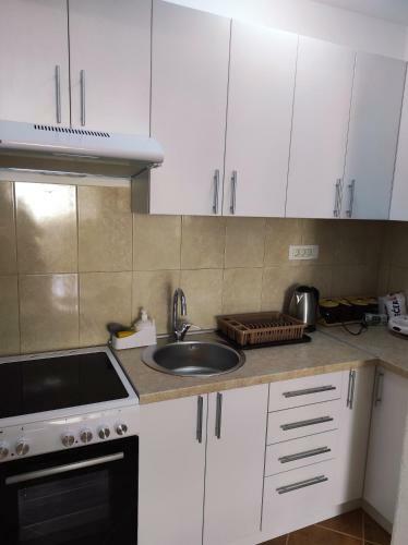 Apartman 45 M2 Lana
