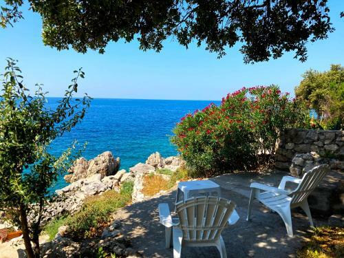 Luxury Seaside Holm Oak Villa With Private Beach