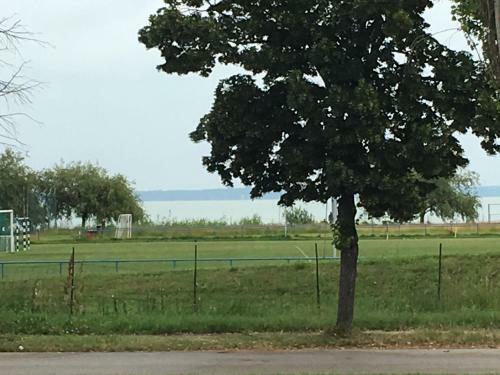 Bella Apartman Balatonalm�di