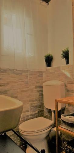 Hostal Maximilian Seven