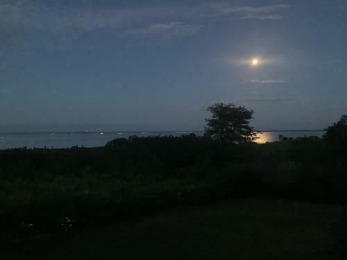 Sunny's Panoramic Cottage