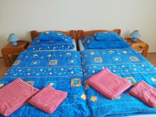 Hostal Montana-ederics Vend�gh�z
