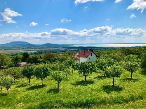 �reghegyi Panor�ma Villa, Balatonederics