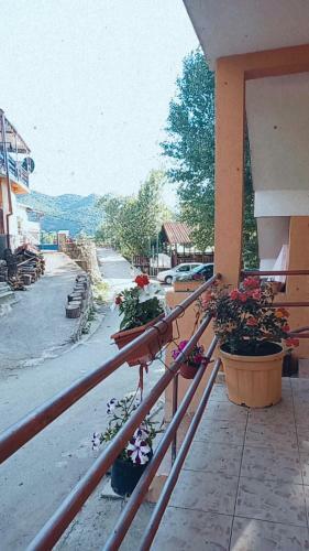 Apartmani Most Dodo?i