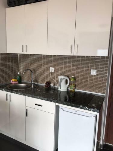 Tamaris Apartman Djenovici