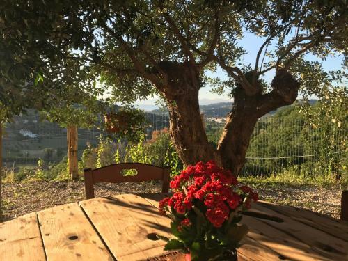 Agroturismo Dimora Dei Cardinali Country House