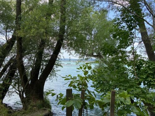 Balaton Family Apartman