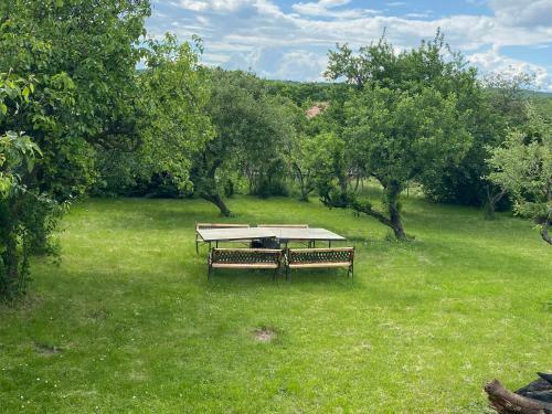 Balaton Family Apartman
