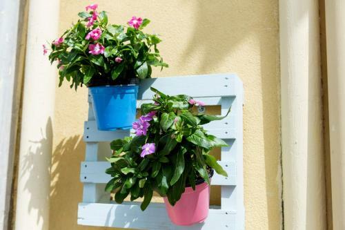 Apartamento La Porta Dei Venti