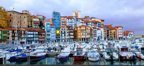 Apartamento Andra Mari Portua