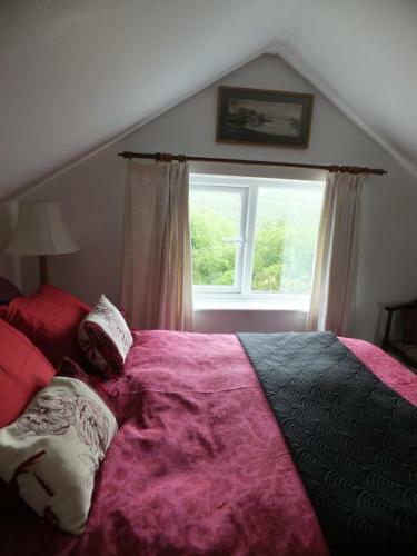 Bed & Breakfast Shrubdown