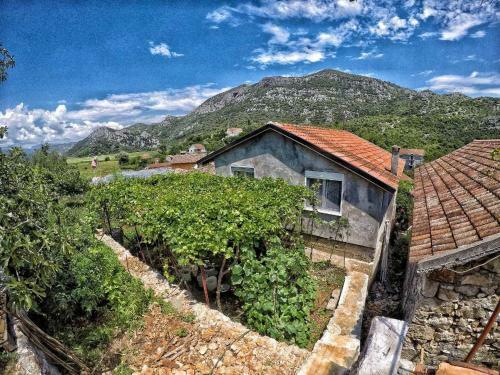 Agroturismo Lotus House Dodo?i