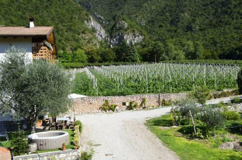 Bed & Breakfast C� Ulivi