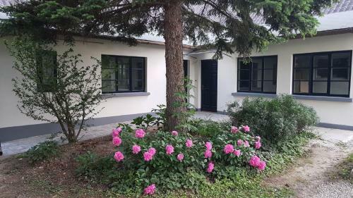 Zr�nyi 15 Apartments