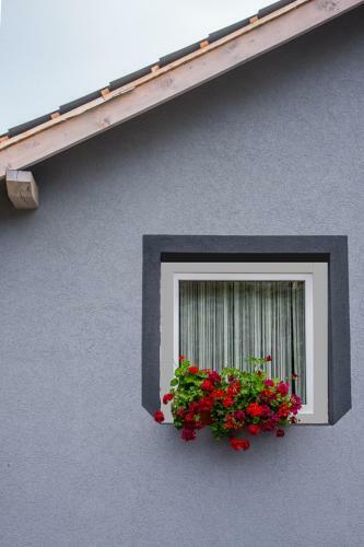 Orchidea Apartman