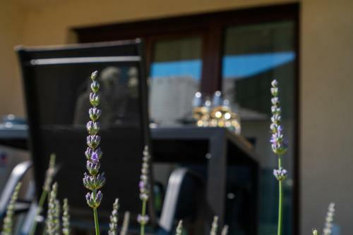 Captain?s Home Kenese Apartman