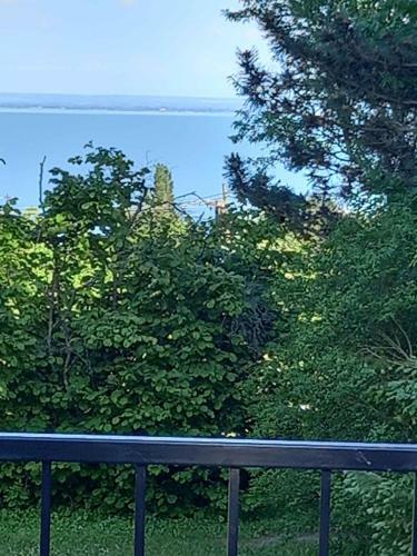Holiday Home In Balatongy�r�k 42286