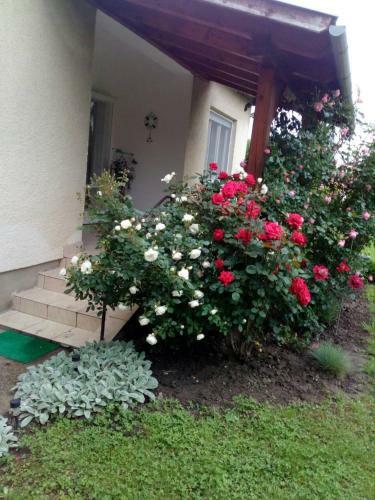 �j �let Weekend House