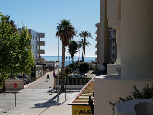 Apartamentos Apolo12 (1-1�-b)