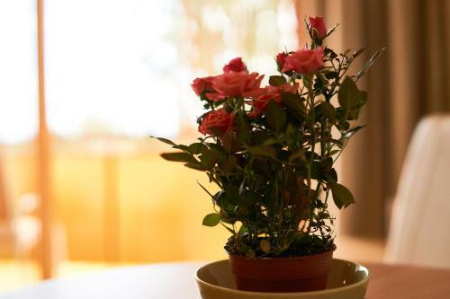 Seeyou Apartment Balatonf�red