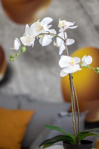 K�ki Apartment