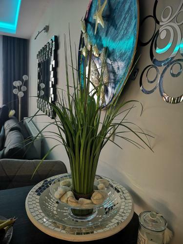 Apartamento Silver Gray Appartment
