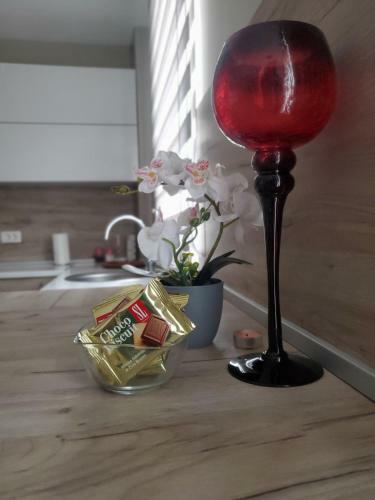 Apartamento Vila Manuela
