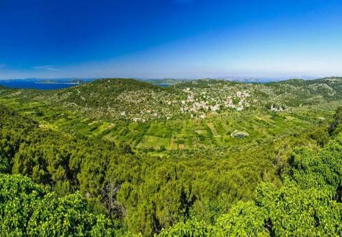 Holiday Home Duje - Nature