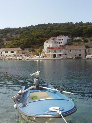 Apartmani Skori?, Otok ?irje