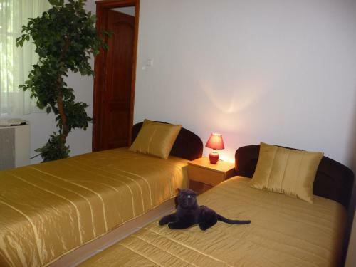 Balaton Art Apartman
