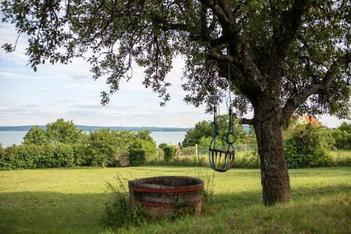 Panor�m�s Vincell�rh�z - Balatonszepezd