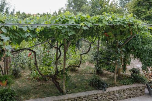 Bed & Breakfast Il Germano Reale