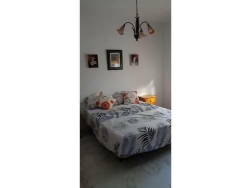 Casita Auxilia
