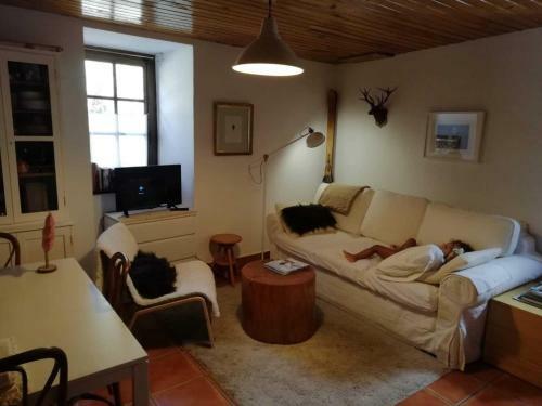 Apartamento Junto A Vielha Estudio Pet