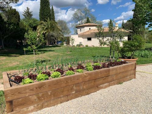 Hostal La Parenthese Saint Donat