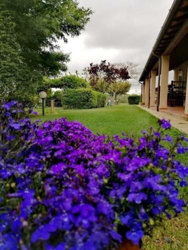 Agroturismo Podere Montecorno