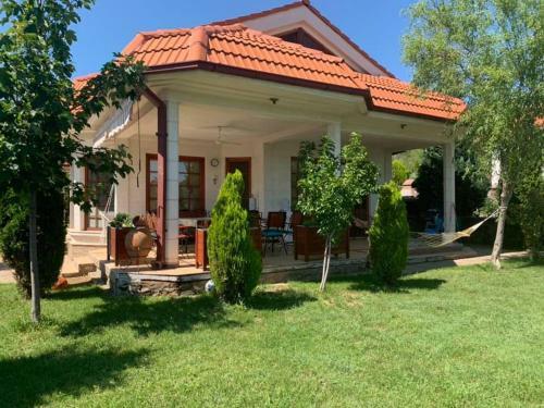 Villa Vila Exotic