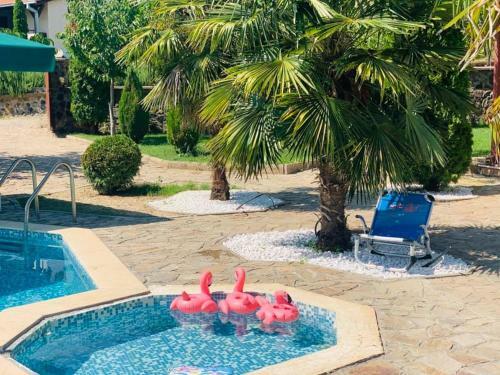 Villa Vila Exotic